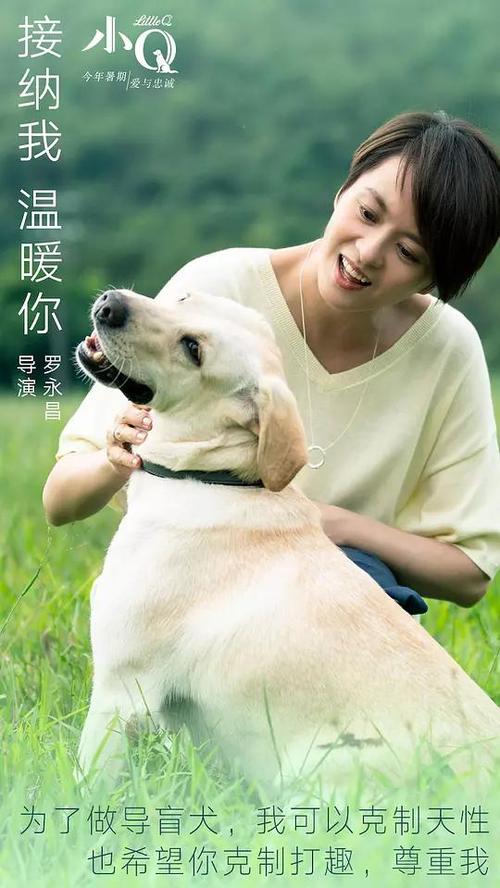 办完不动产证发票还有用吗